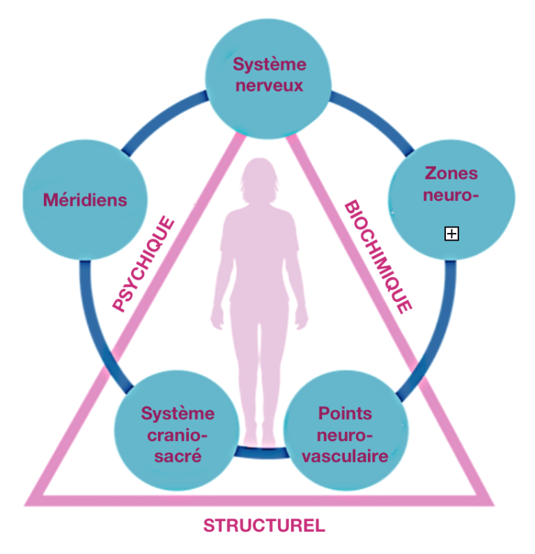 Santé holistique tokyo