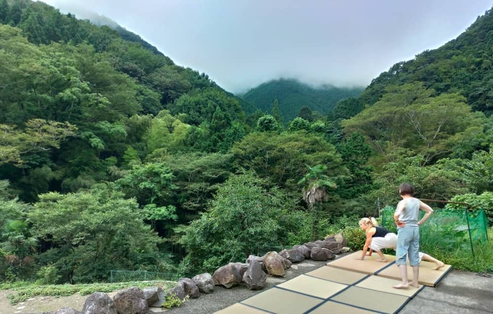 Wellness retreat at 1h30 from tokyo: relax, qi gong, vegetarian organic food, walk, nature healing