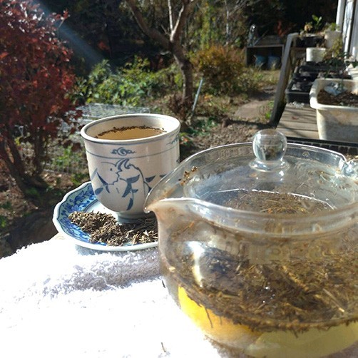 Sore throat: natural remedies