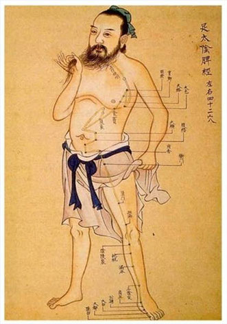 body meridians lines