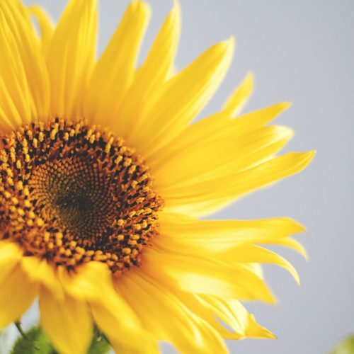 Supporter la chaleur