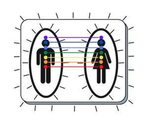 cut cords of attachement