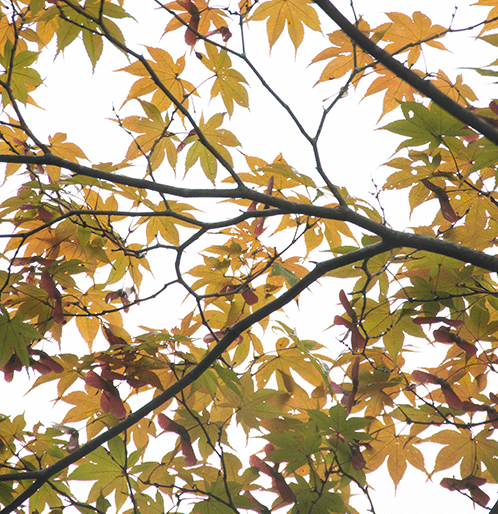 Preparing for autumn