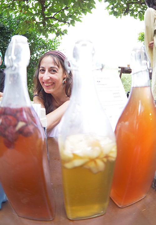 kombucha scoby
