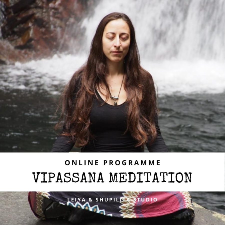 meditation vipassana online program