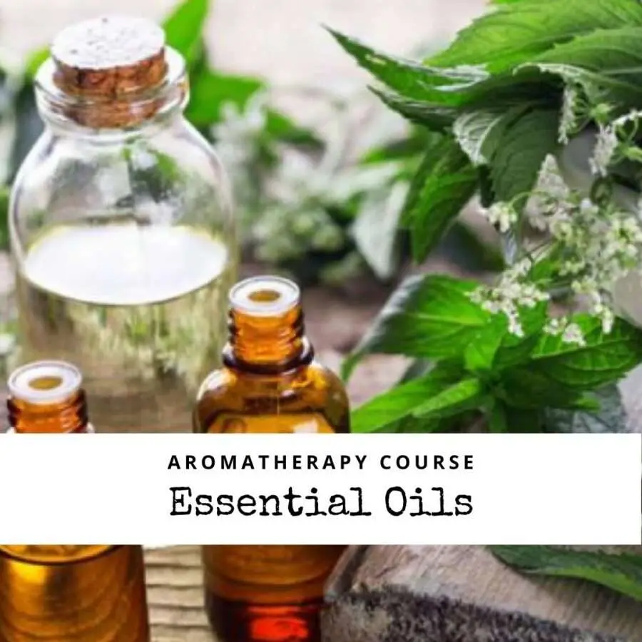 Aromatherapy course