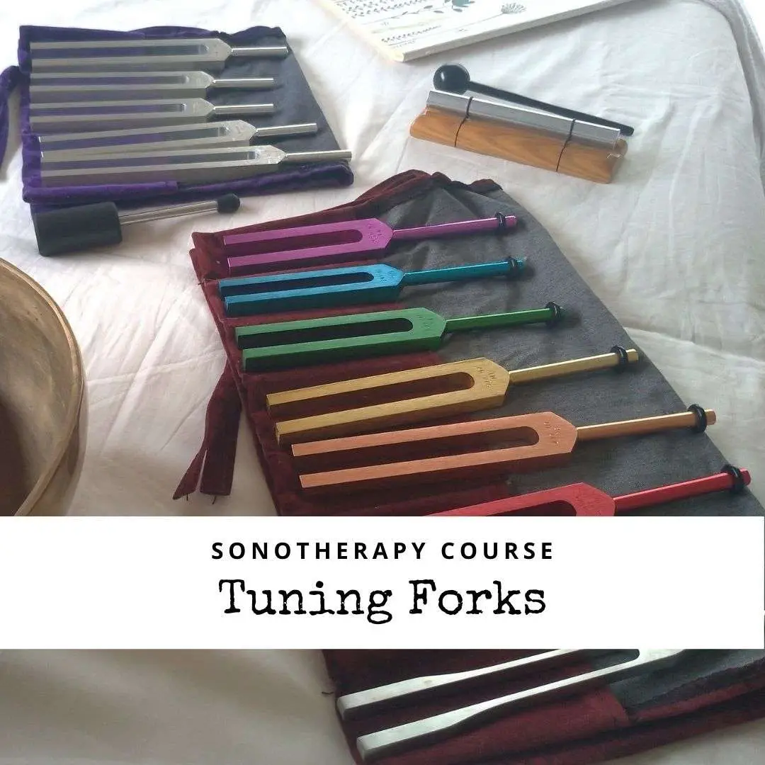 Tuning Fork Sonotherapy Course