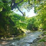 Learn reiki in japan