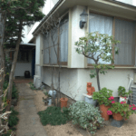 Otomi Therapy Mitaka