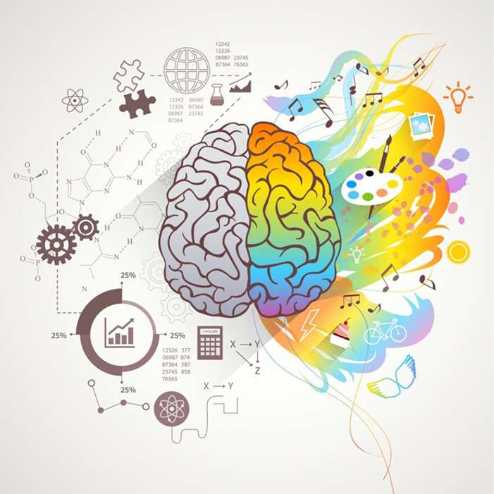 HPI vs Neurodiverse